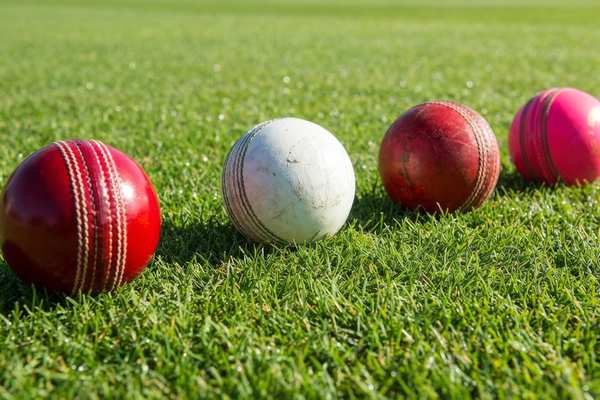 no ball rules in cricket